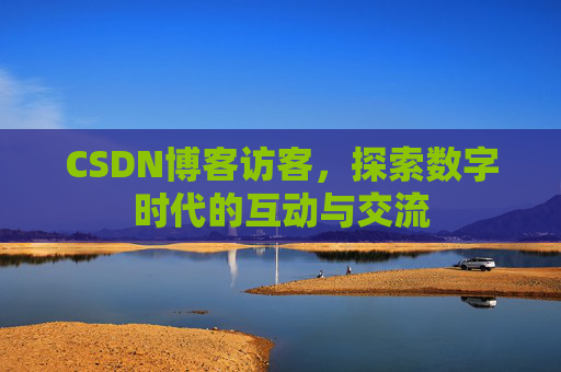 CSDN博客访客，探索数字时代的互动与交流